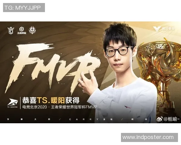 荣耀背后的故事王者荣耀冠军战队纪录片揭示艰辛与坚持的心路历程